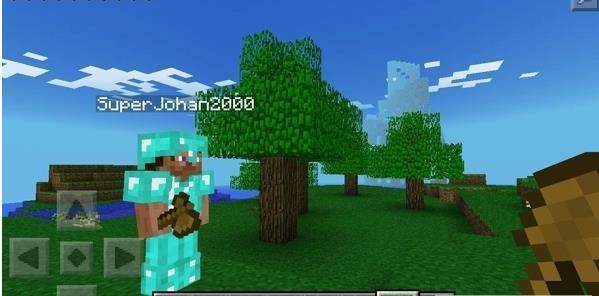 我的世界魂師生存截圖2