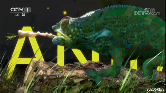 綠蘿TV電視直播截圖2