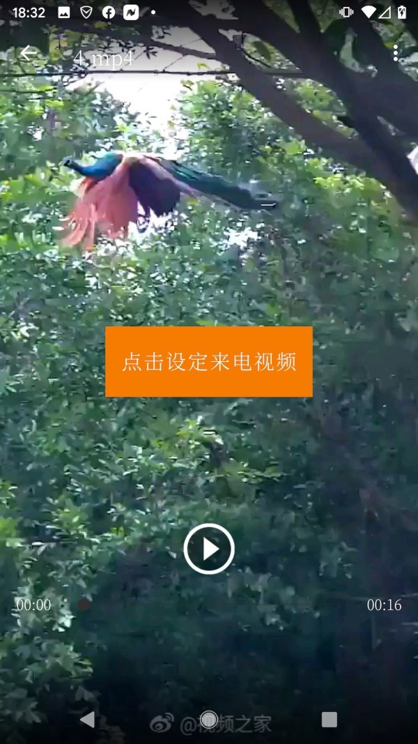 抖鈴音截圖2