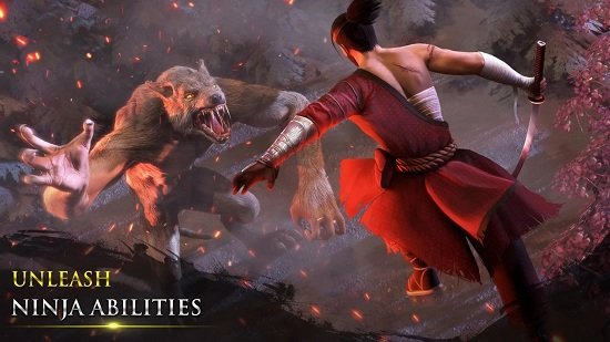 忍者武士隆截圖2