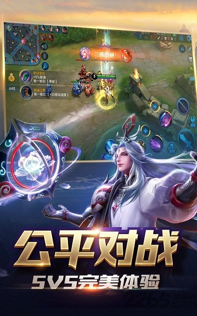 王者榮耀去布料軟件截圖1